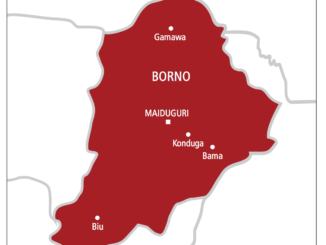 IED kills 6 passengers in Borno