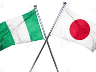 nigeria flag combined with japan flag