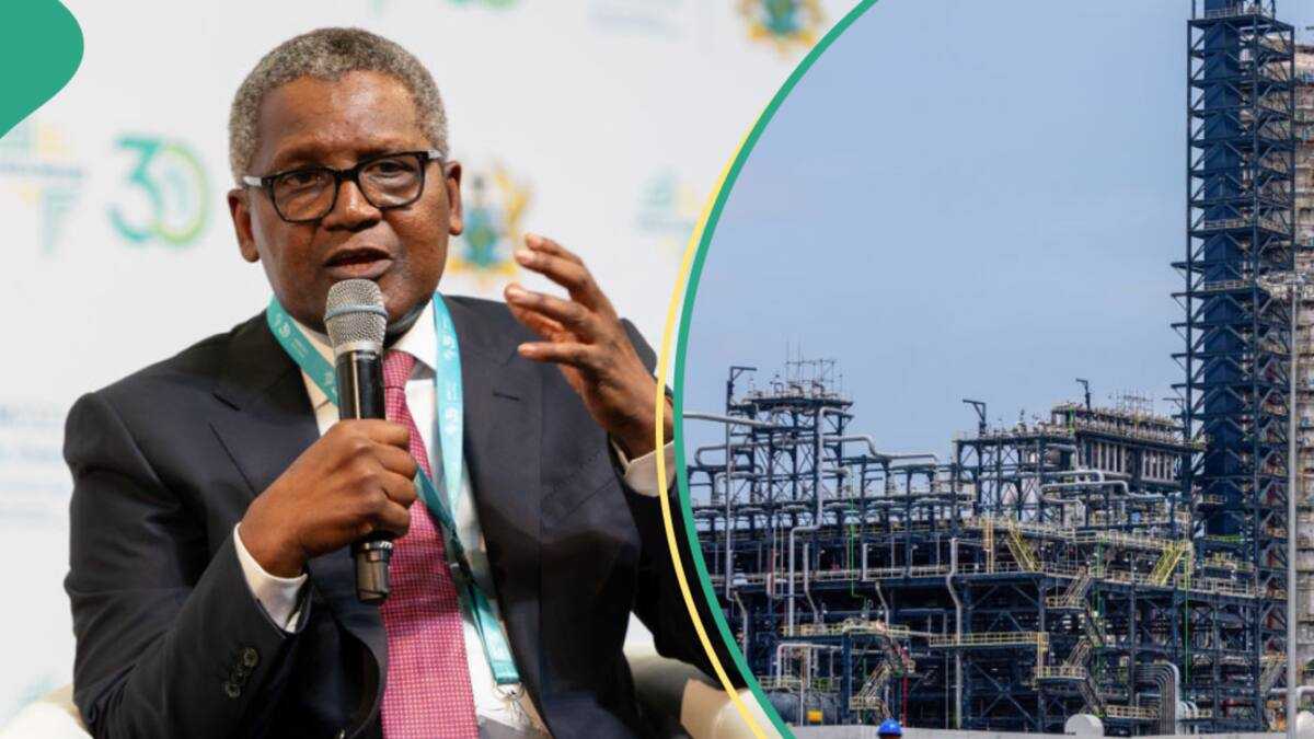 After Producing Diesel, Petrol, Others, Dangote Speaks on Government's Role in $20bn Refinery