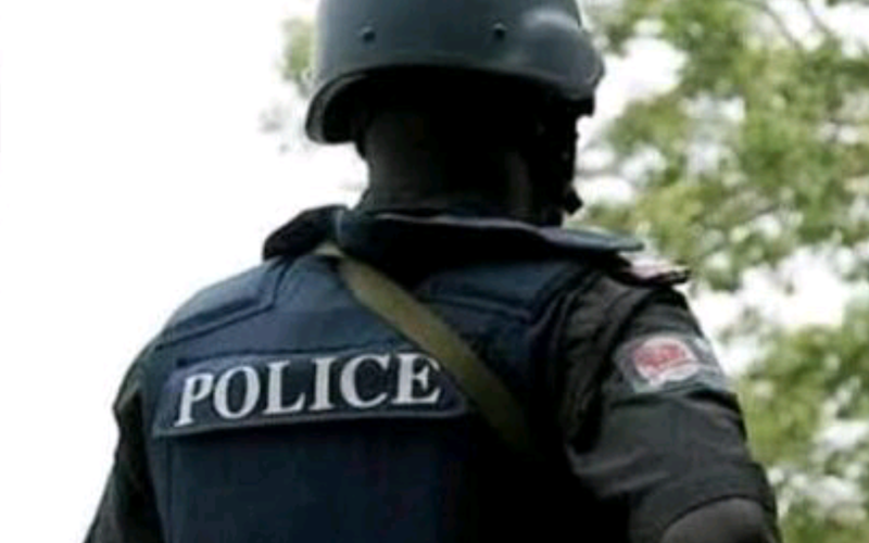 Alleged 2nd Niger bridge vandalism: Police begin investigation