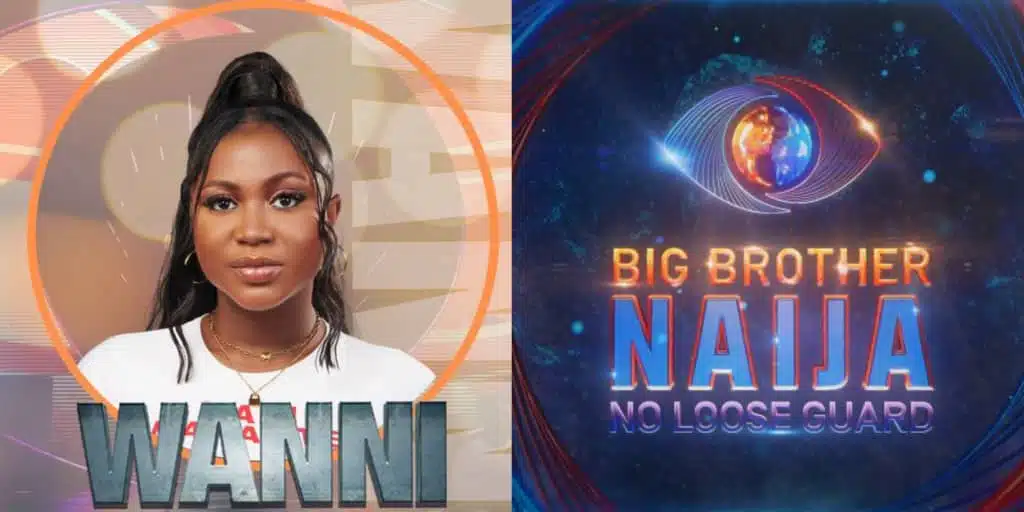 BBNaija: Wanni makes history with Season 9's final diary session