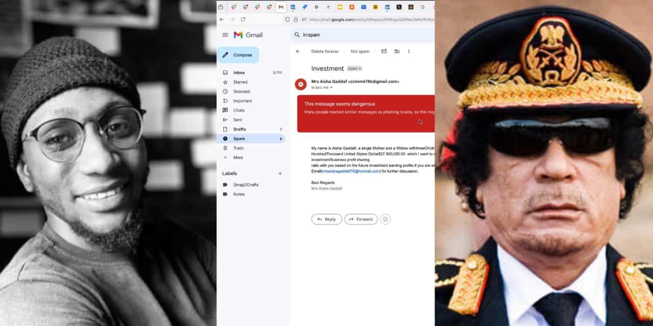 Man shocked as Gaddafi's alleged daughter set to entrust him with $27.5M for investment, shares screenshot