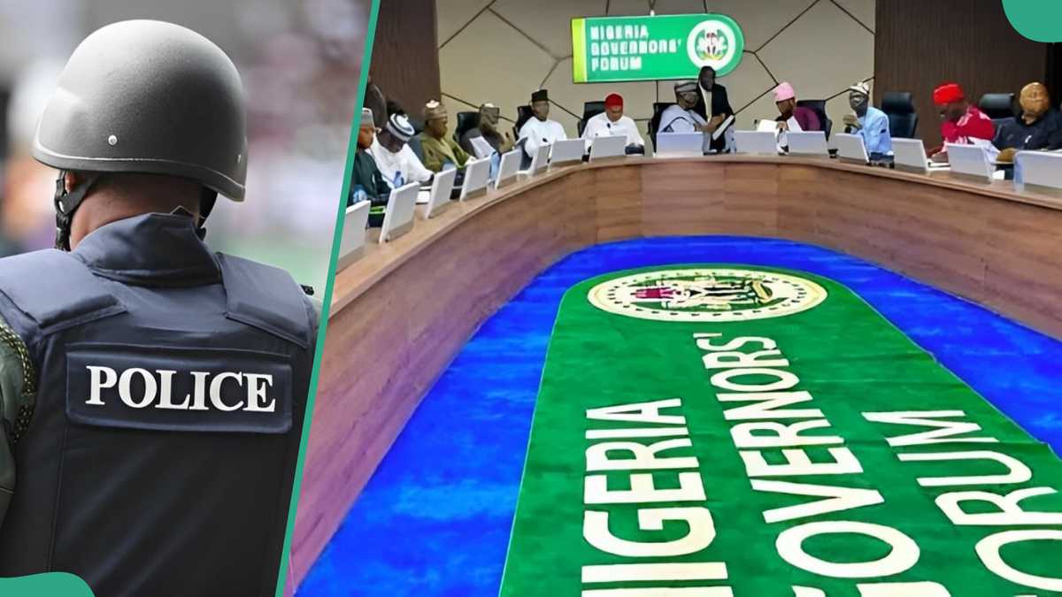 36 Governors Finally Endorse State Police, Submit Report to NEC