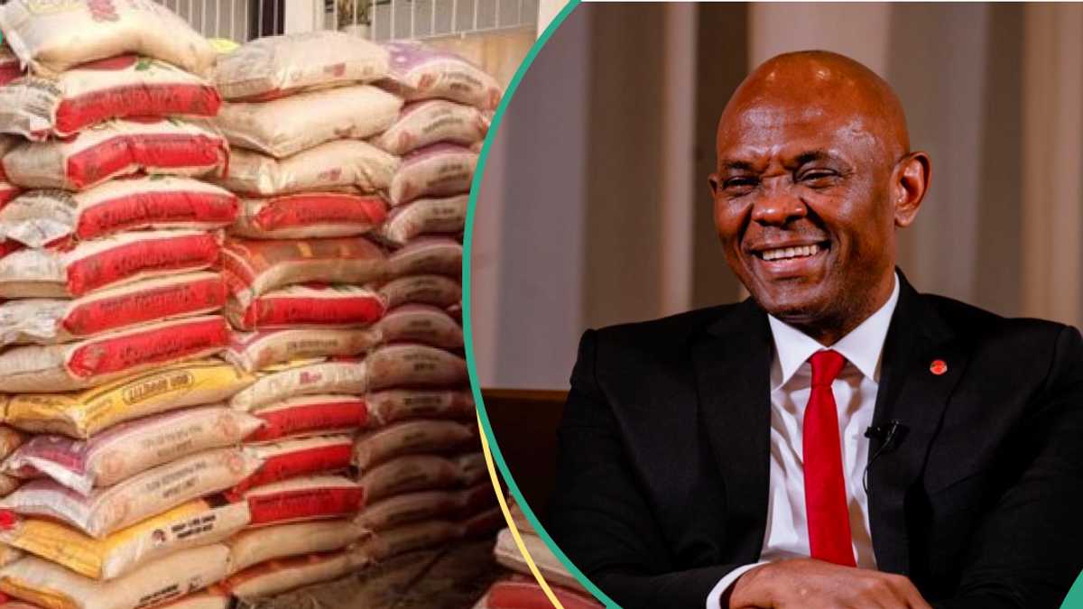 Billionaire Tony Elumelu Distributes Bags of Rice to Nigerian Families for Christmas