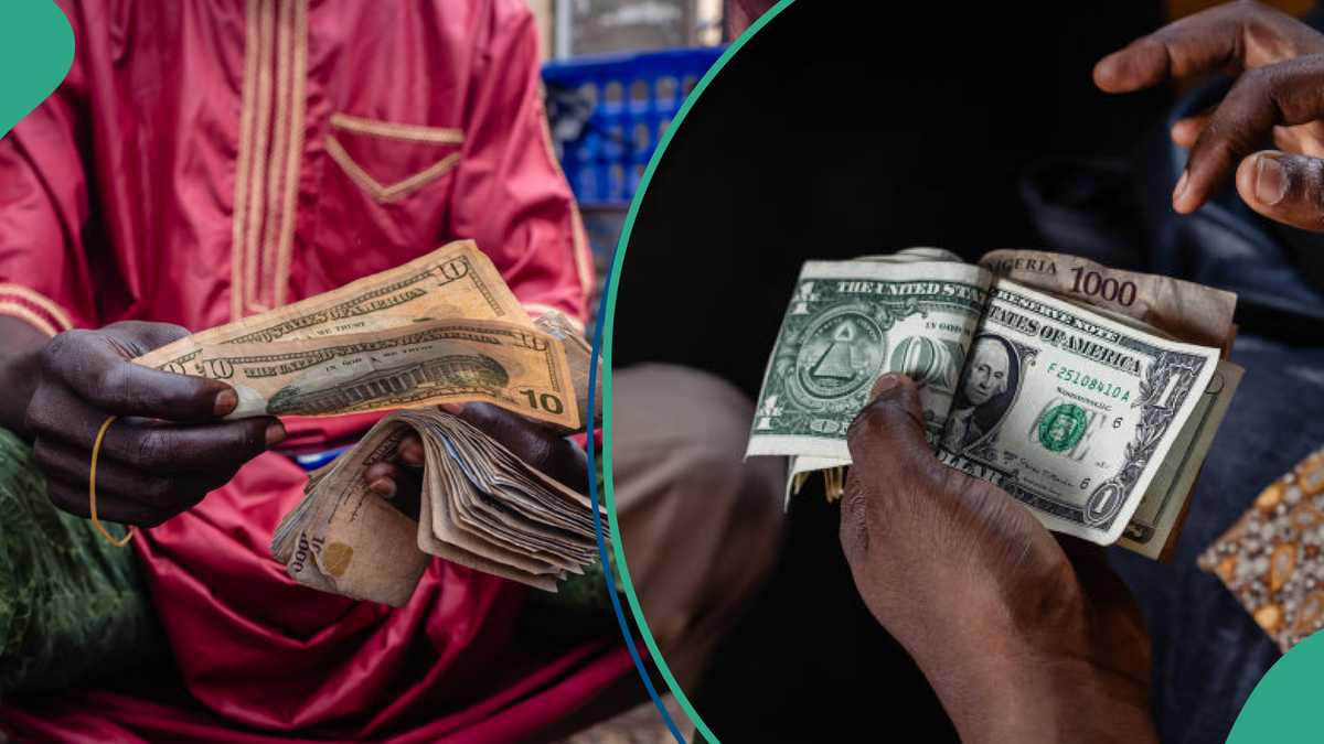 Experts Predict New Exchange For The Naira in 2025 as Dollar Crashes in Official Window