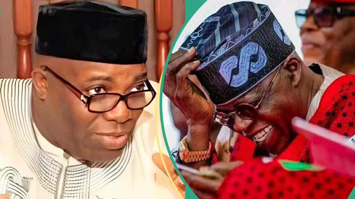 Former Obi's Ally Okupe Opens Up on Why He Never Criticizes President Tinubu, Details Emerge