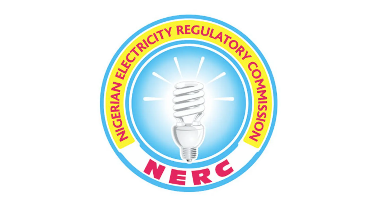 NERC Transfers Ogun Electricity Regulatory Functions To State Gov't