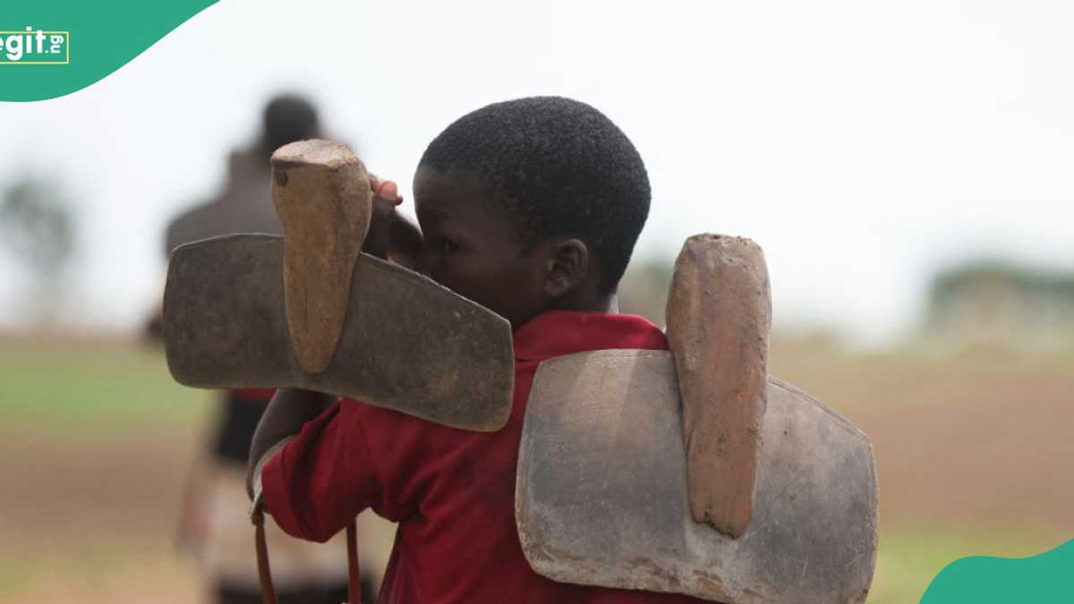 40 Farmers Killed, Dozens Missing as Boko Haram Rains Terror in Borno