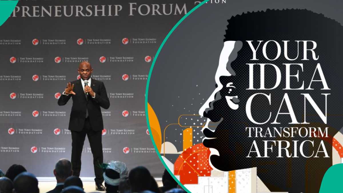 Apply Now: Tony Elumelu Foundation Opens Application for 2025 Entrepreneurship Programmes