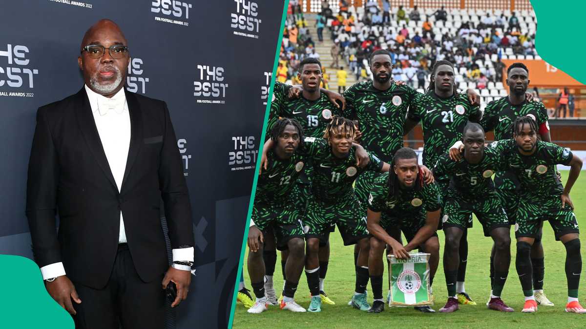 Former NFF Chief Amaju Pinnick Drops Crucial Hint on Next Super Eagles Coach