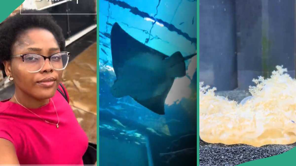 Lady Sees Expensive Stingray Fish At Lagos Aquarium That Looks Like Scene From Disney Movie