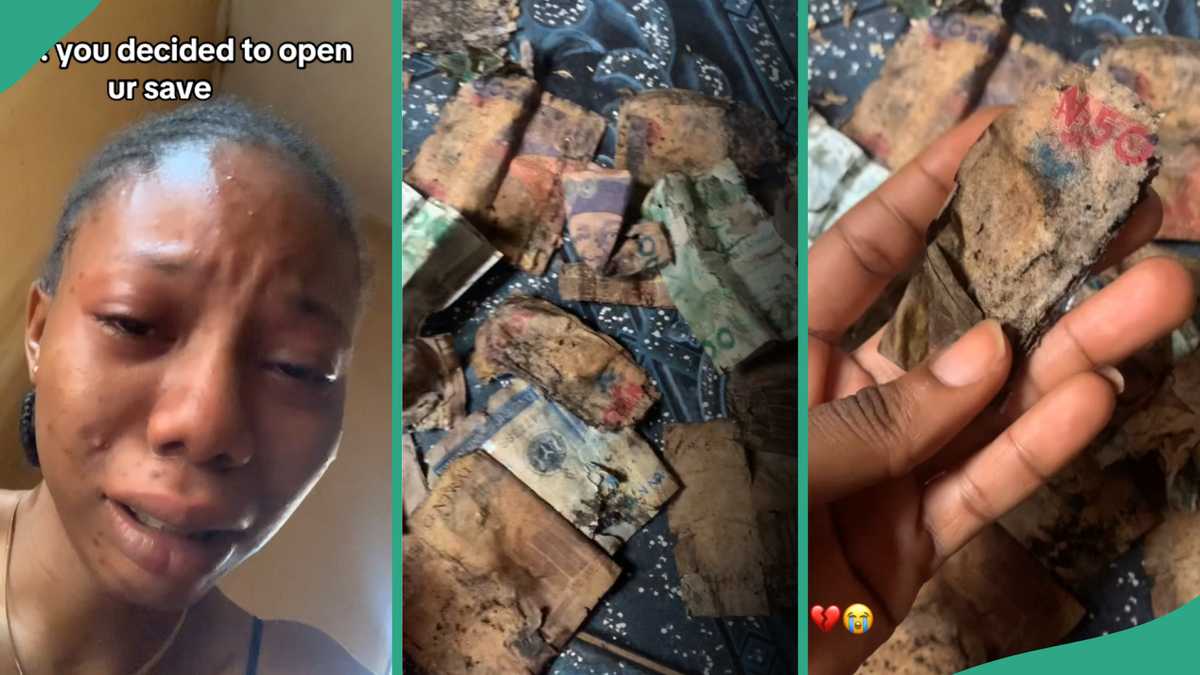 Lady Who Saved Cash in Safe Box Discovers Everything Has Rotten