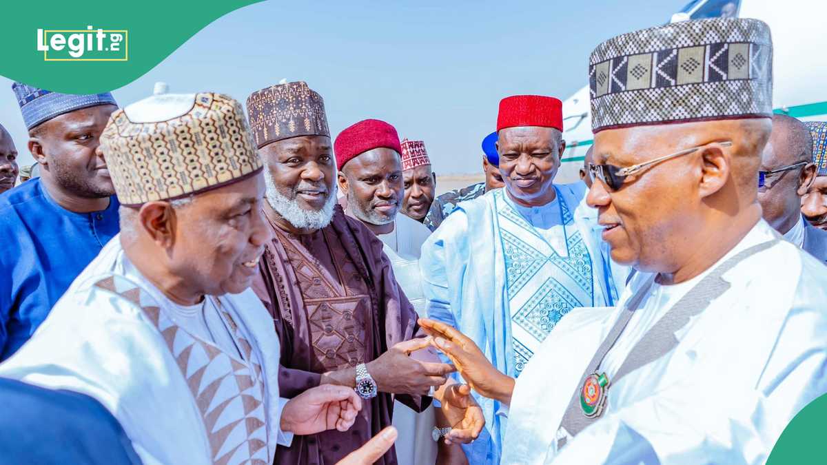 Shettima, Top Political Leaders Storm Kano for APC Chairman’s Sons’ Wedding, Photos Trend